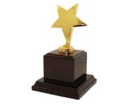 Награда «Звезда» на деревянной подставке, золото